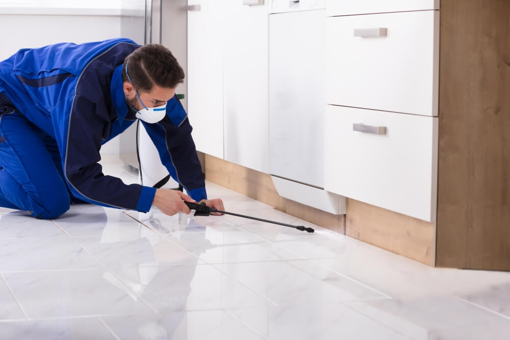 What To Expect From One Of Our Pest Control Property Inspections