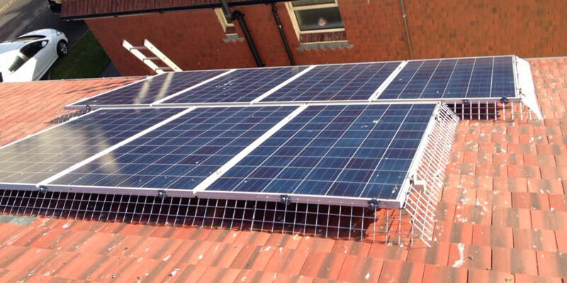 How Can We Bird Proof Your Solar Panels?